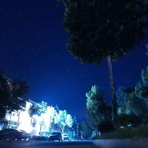 夜空中最亮的星——星空灿烂的树下，微风浮起，蛐蛐鸣叫，托向星星倾听。