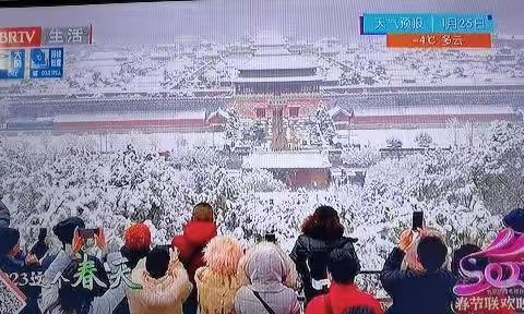 2023这个春天注定不平凡！🌺🌻🌹