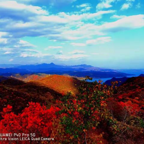 年轮攸然逝，江山焕颜新。磨难终渡过，前程必似锦。🌺🌻🌹🌴👍✌👌