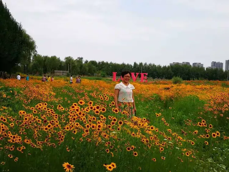 美丽的丁香湖,我生活的地方