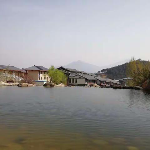 春天里那一抹黑色的运动装——感知外界第五天