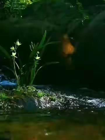 沧海一声笑的美篇