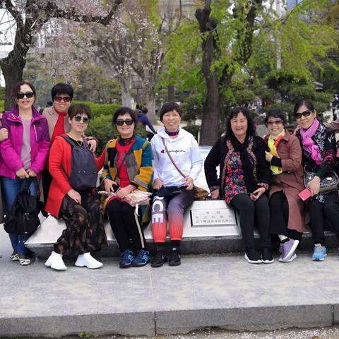 暖春日夲樱花🌸之旅游纪实