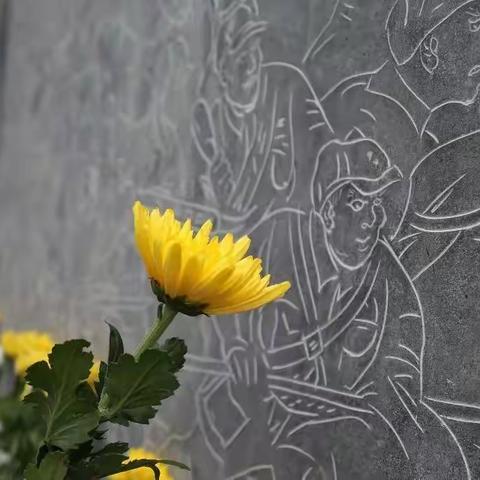 烈士纪念日：缅怀家乡的先烈