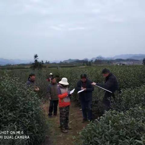 万苍乡土地连片整治印象