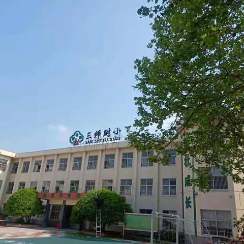 停课不停学，学习不延期——三师附小南校区六年级网课拾贝分享