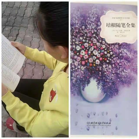 漫步世界名著花园              ——跟随名著的脚步，去发现更广阔的世界