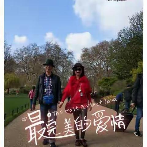 2018.3.14英国伦敦白金汉宫，圣杰姆斯花园