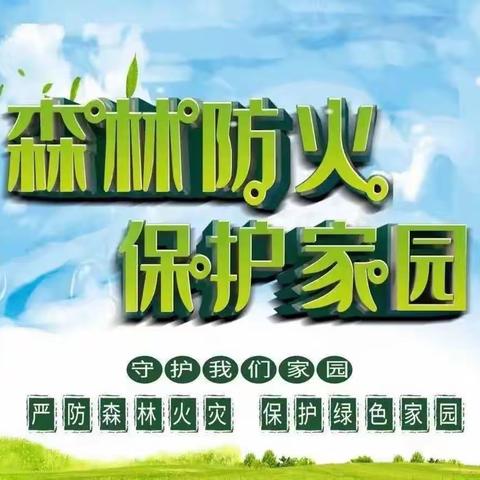 森林防火 人人有责——夏庄镇石岭小学森林防火主题班会