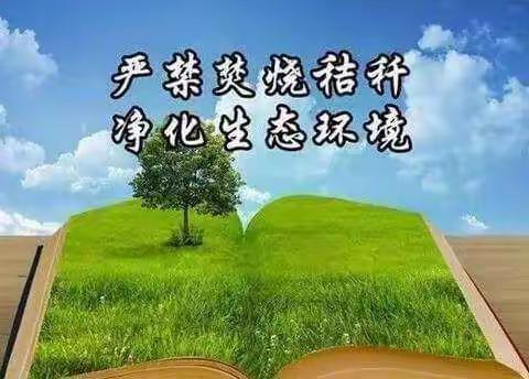 蓝天保卫   你我携手——乐白道中心校开展秸秆禁烧宣传教育活动