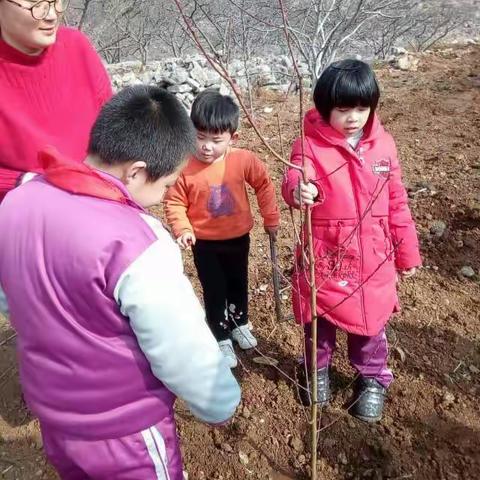 周六和孩子们共同度过不一样的植树节