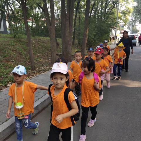 跟着感觉走的美篇