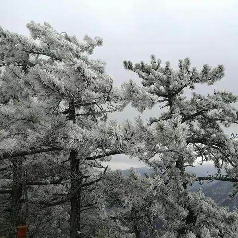 天水山地摄影人（雷仓恩）的美篇