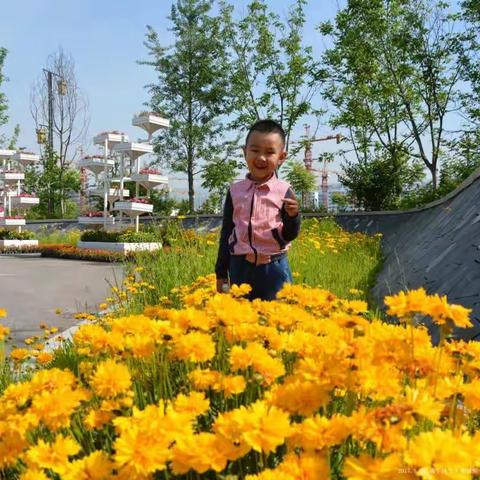 端午节游园记