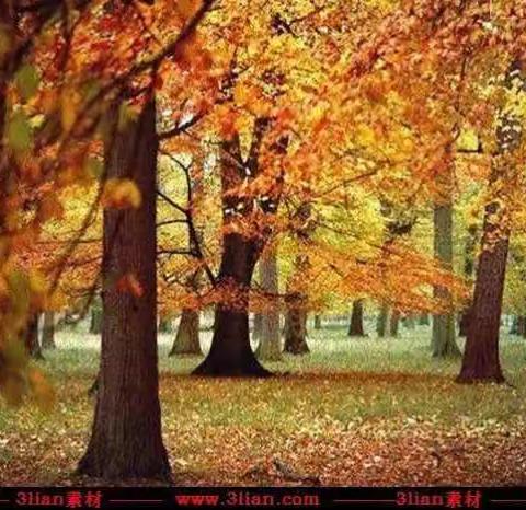 秋日暖阳，去看看想念的人