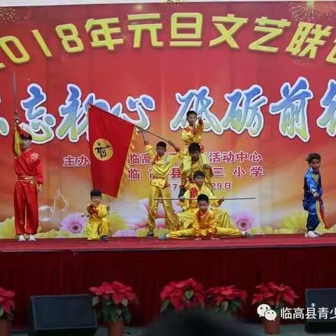 临高县青少年活动中心2018暑假中华武术班招生啦！