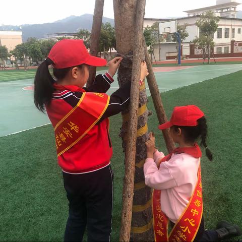 绿色校园 感恩自然——仙都中心小学开展植树节系列活动