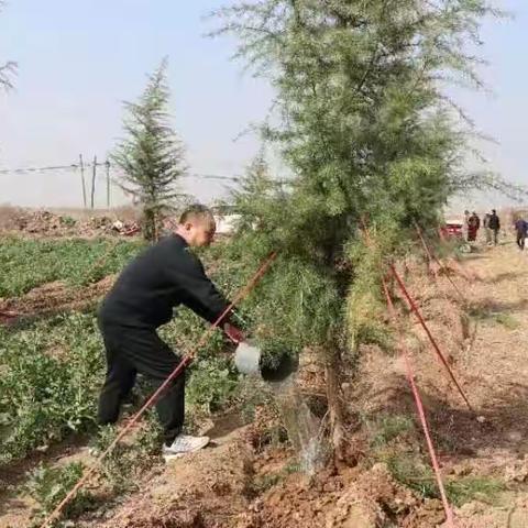 守护绿水青山建设美好家园临潼区供销联社开展义务植树活动