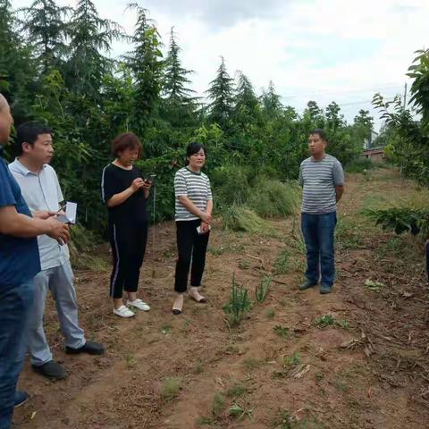 技术指导巩固产业脱贫成果
