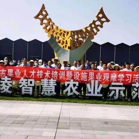 区园艺站组织葡萄种植大户参加全市果业技术培训会