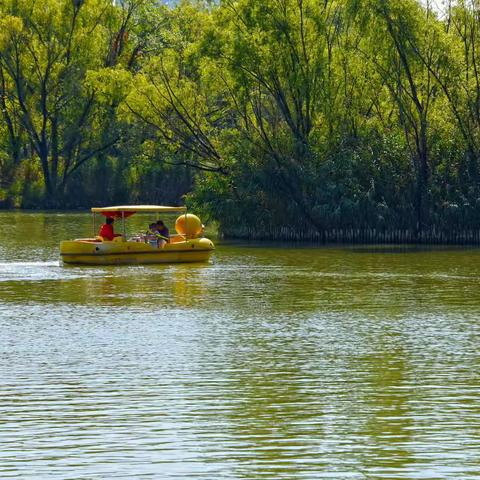 假日中的朝阳公园