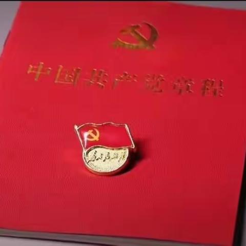 以芳华立誓，不负眼中星辰熠熠