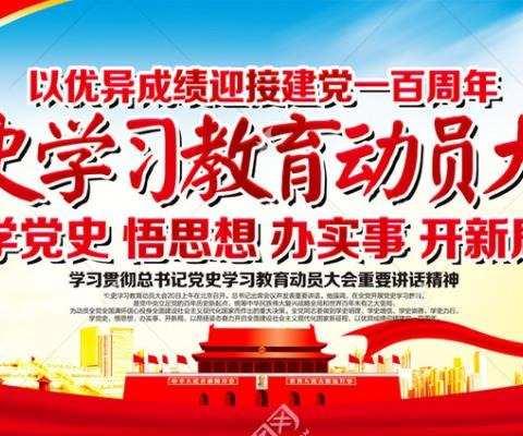 新华中心校召开党史学习教育动员大会