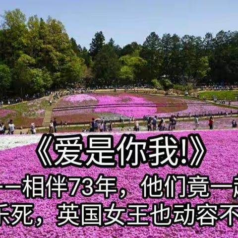 《爱是你我！》相伴73年他们竟一起安乐死，英国女王也动容不已!                      创作:白云生处
