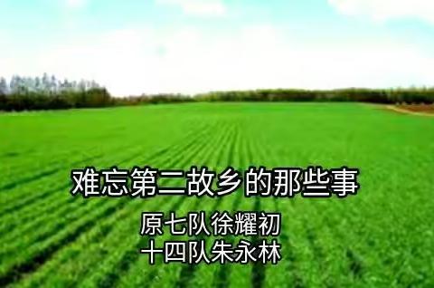 《岁月悠悠9》 : 记江苏省国营新洋农场无锡知青回忆录创刋十周年 （文章选登）