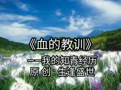 《血 的 教 训》——我的知青经历                                            原 创 : 生逢盛世