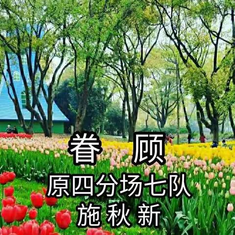 《岁月悠悠6》 : 记江苏省国营新洋农场无锡知青回忆录创刋十周年 （文章选登）