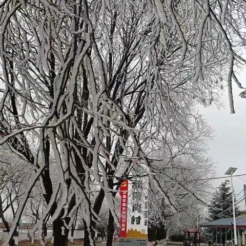 旬邑：雾凇美景