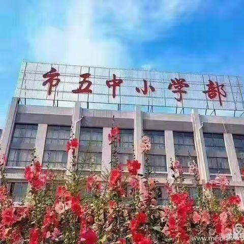 观小语盛宴  促教师成长――河南省小学语文优质课网络观摩活动濮阳市第五中学分会场