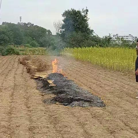 【年糕小镇 幸福朱坑】朱坑镇综合行政执法大队开展野外用火巡查工作