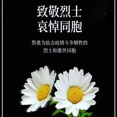 清明祭英烈，缅怀英雄魂——尧庙联校东赵小学清明祭英烈活动