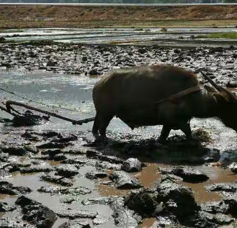 清水古镇__鲜活的云南边屯文化大观园（二）