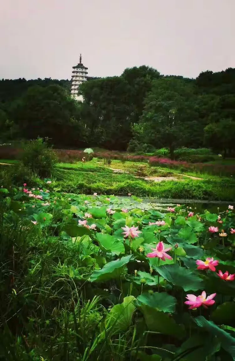 天女山度假村图片