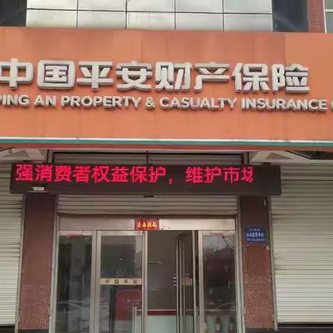 平安财险温县支公司3.15消费者权益保护教育宣传活动