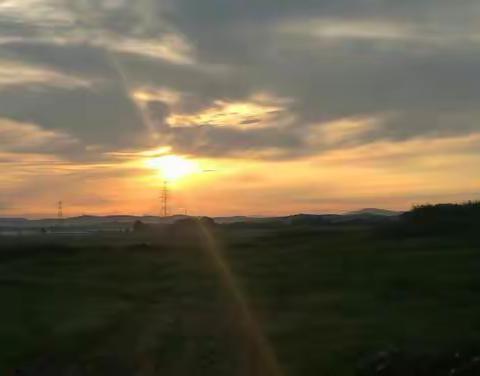 “创动万物，悦享青春”主题实践活动之田中C386班之三篇【花卉园林】