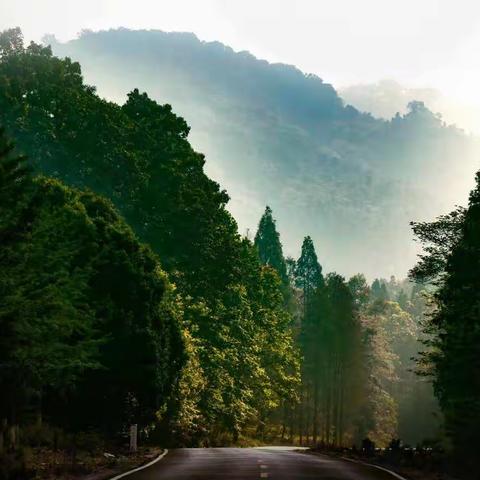 小心“疫疫”虎山行