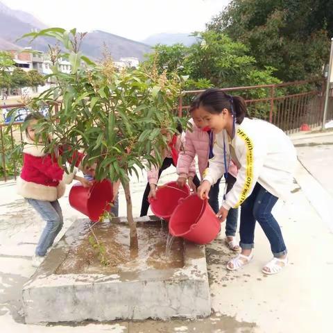 田林县百乐乡中心校2018年植树节活动