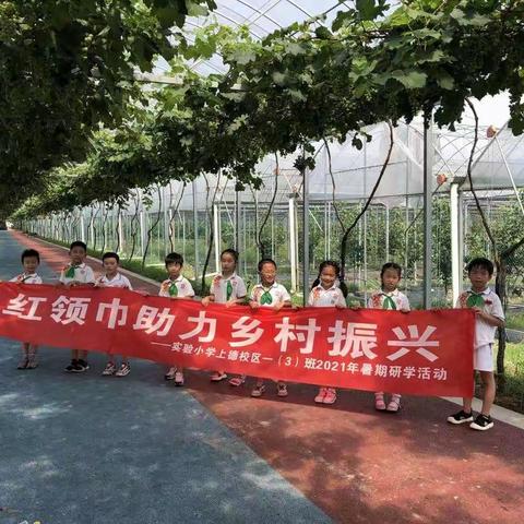 红领巾助力乡村振兴 ——实验小学上德校区一（3）班暑期农耕之旅红色研学活动