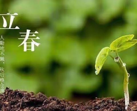 立春感言