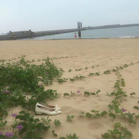 2017海口鼻科年会