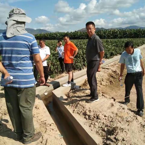 市农业农村局局长柯用春带队调研督导崖州区、育才生态区两区高标准农田建设工作