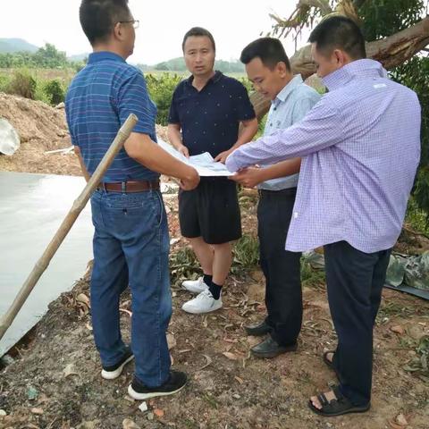 市农业农村局局长柯用春带队调研督导吉阳区、天涯区两区高标准农田建设工作