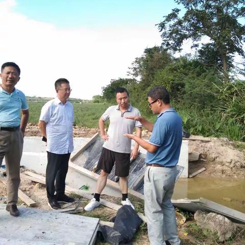 市农业农村局长柯用春带队调研督导海棠区高标准农田建设工作
