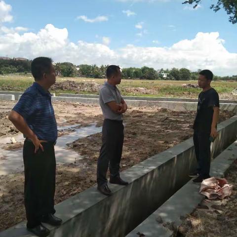 市农业农村局云俊带队督导海棠区高标准农田建设收尾工作