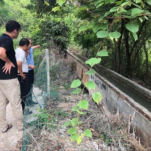 市农业农村局农田科调研崖州区梅西村大排沟及茅彭水库干渠改造修复工程项目