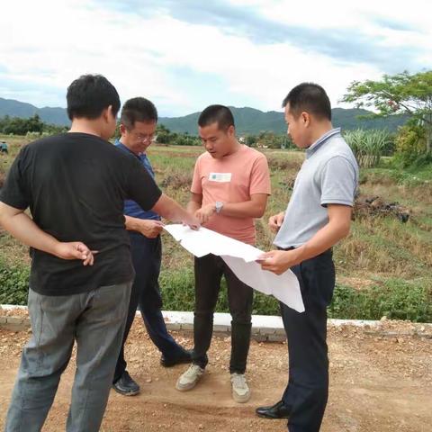 市农业农村局云俊带队督导吉阳区高标准农田建设